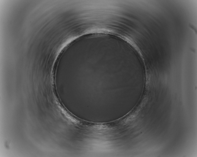 X0000099451037200805231736