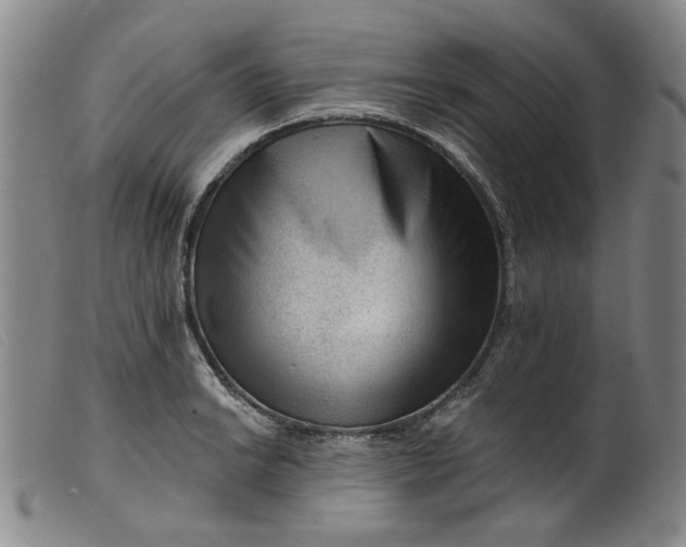 X0000099451038200805231736