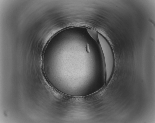 X0000099451040200805231736