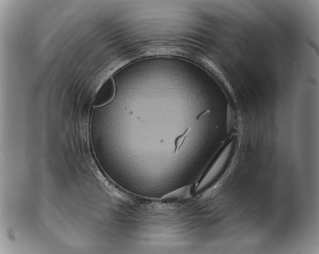 X0000099451041200805231736