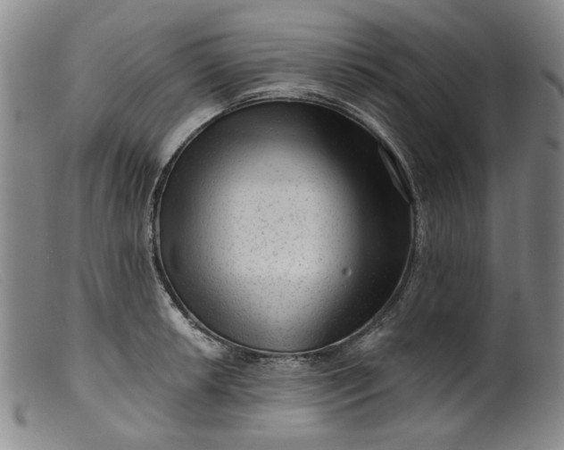 X0000099451042200805231737