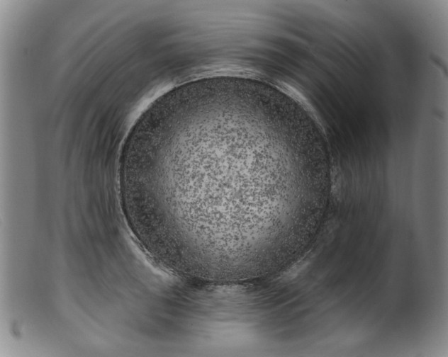 X0000099451043200805231737