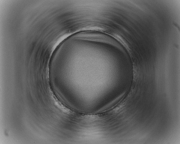 X0000099451044200805231737