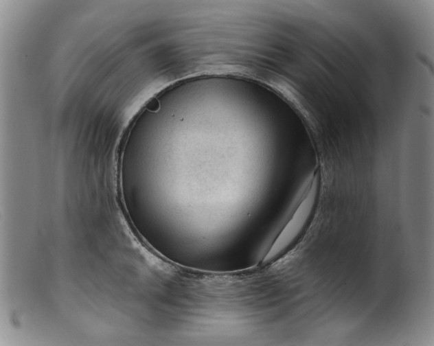 X0000099451046200805231737