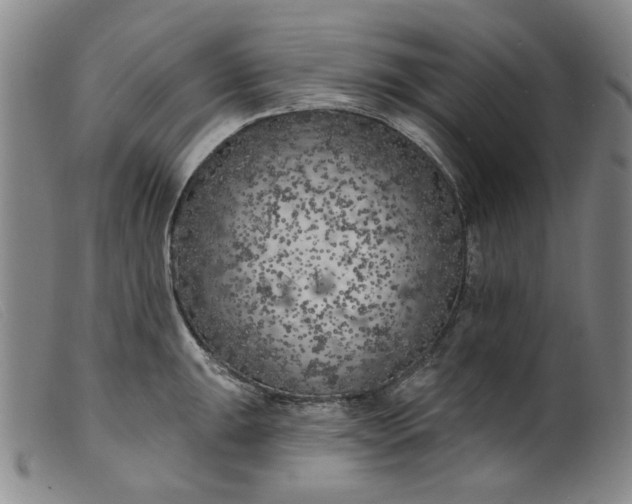 X0000099451047200805231737