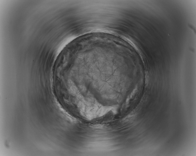 X0000099451048200805231737