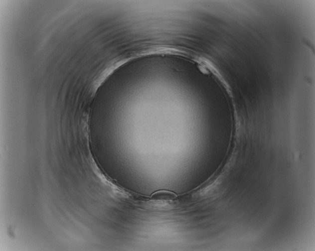 X0000099451049200805231737