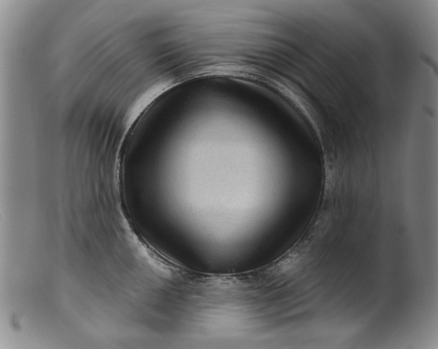 X0000099451050200805231737