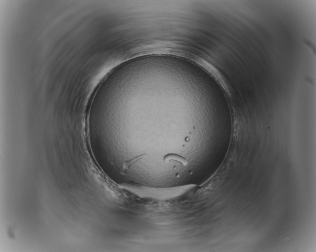 X0000099451051200805231737