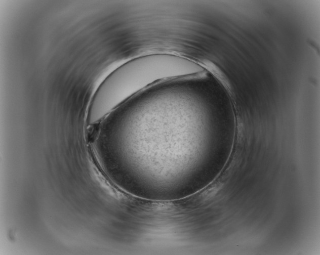 X0000099451052200805231737