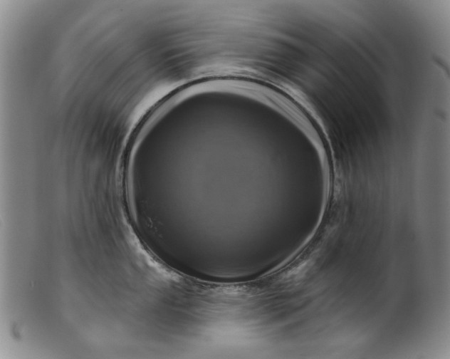 X0000099451053200805231737