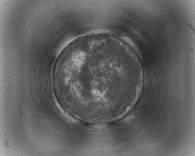 X0000099451055200805231737