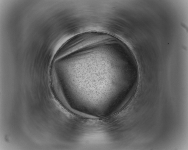 X0000099451056200805231737