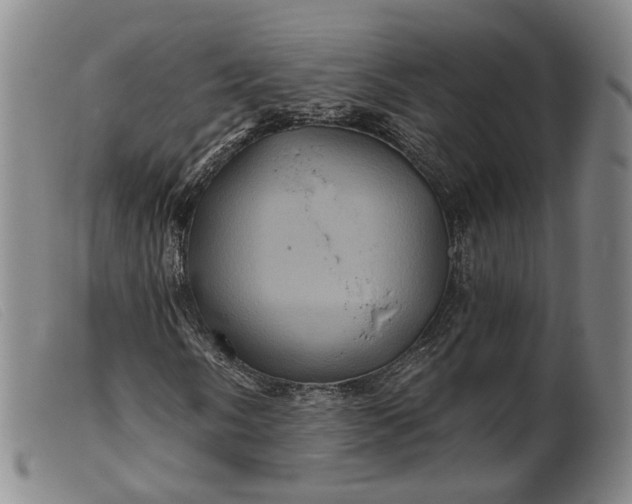 X0000099451058200805231736