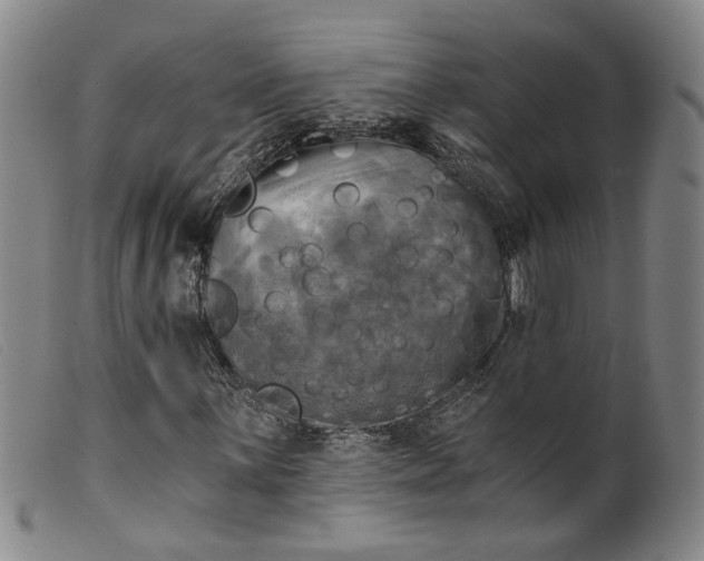 X0000099451059200805231736