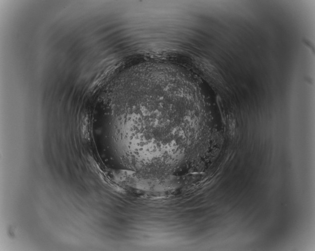 X0000099451060200805231736