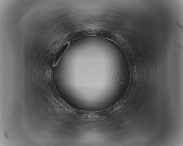 X0000099451061200805231736