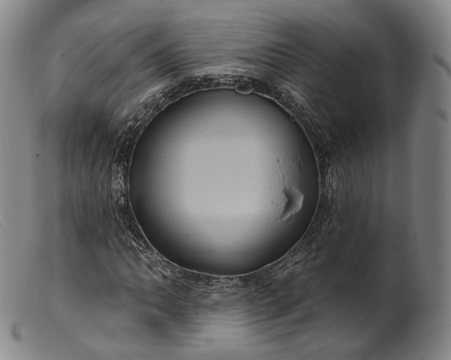 X0000099451062200805231736