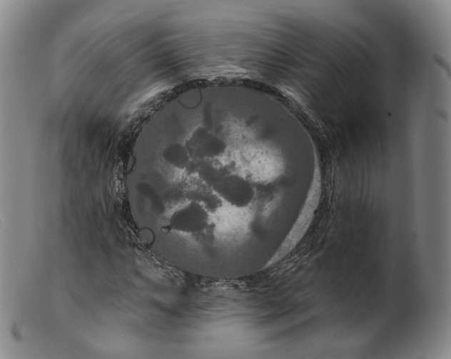 X0000099451063200805231736