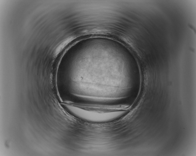 X0000099451066200805231736