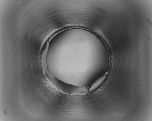 X0000099451068200805231736