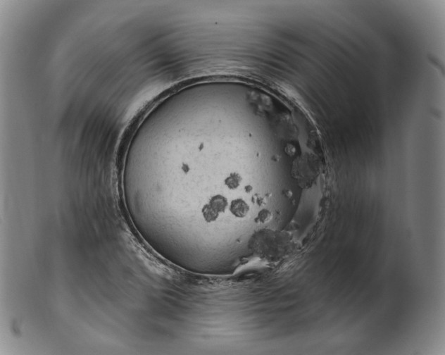 X0000099451072200805231736