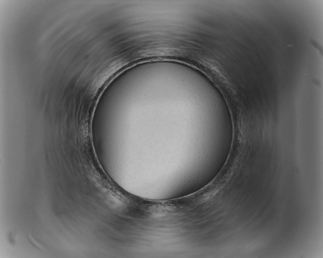 X0000099451073200805231736