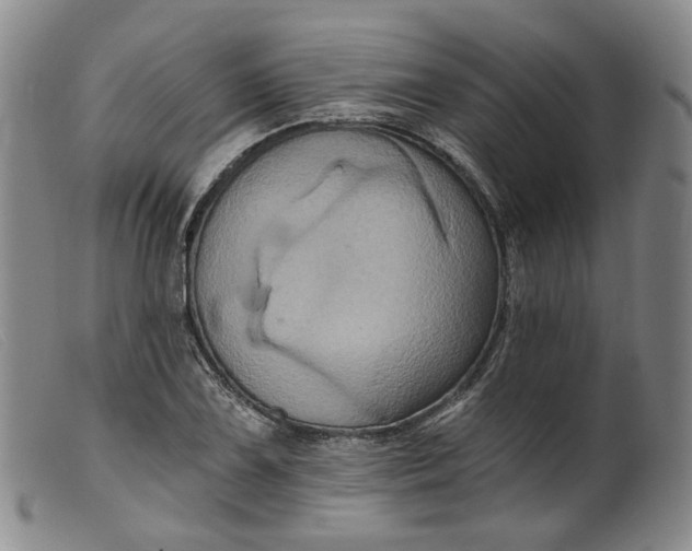 X0000099451075200805231736