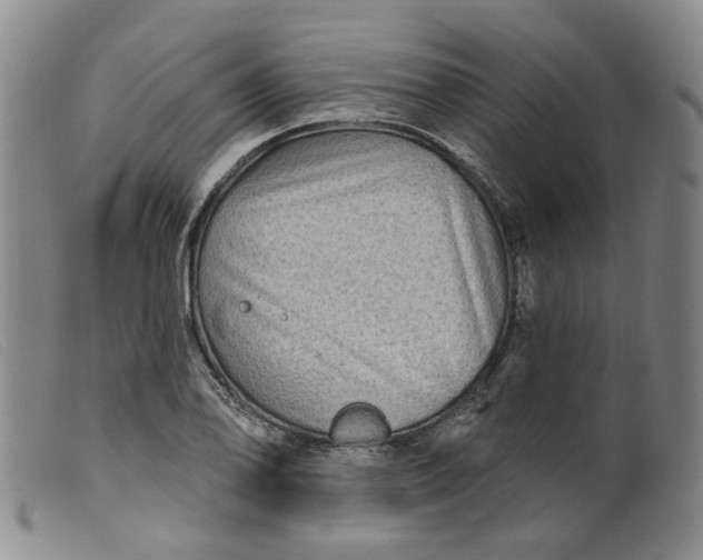 X0000099451078200805231736