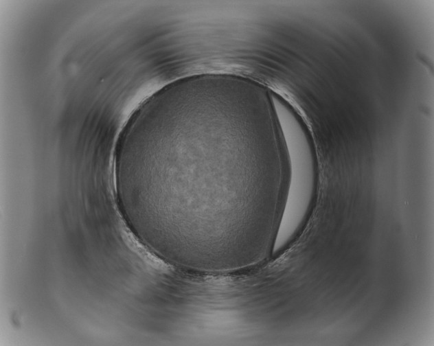 X0000099451080200805231736