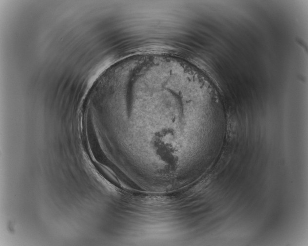 X0000099451083200805231735