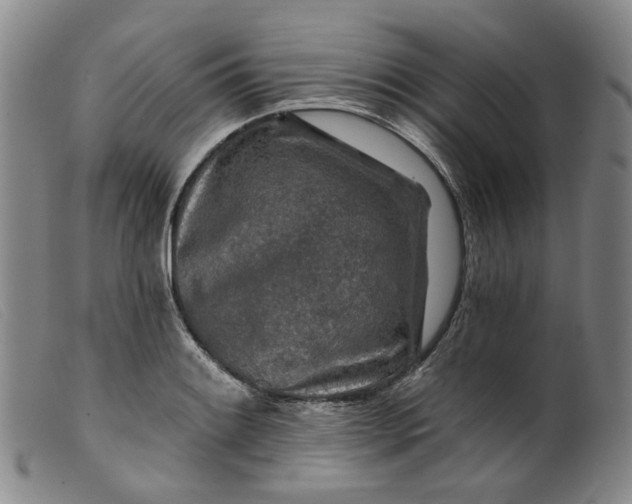 X0000099451084200805231735