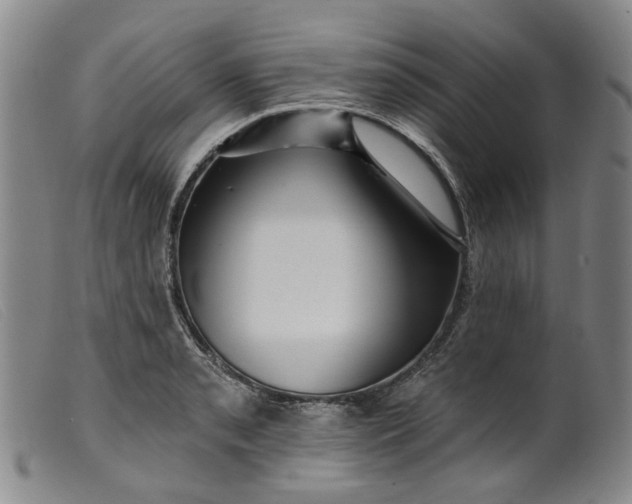 X0000099451085200805231735