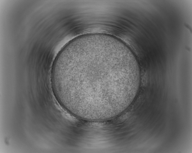 X0000099451086200805231735