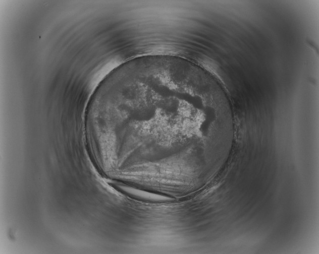 X0000099451087200805231735