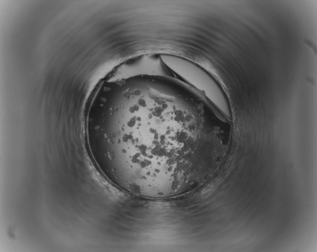 X0000099451088200805231735