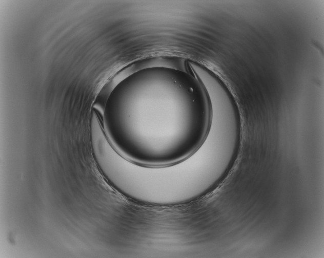 X0000099451089200805231735