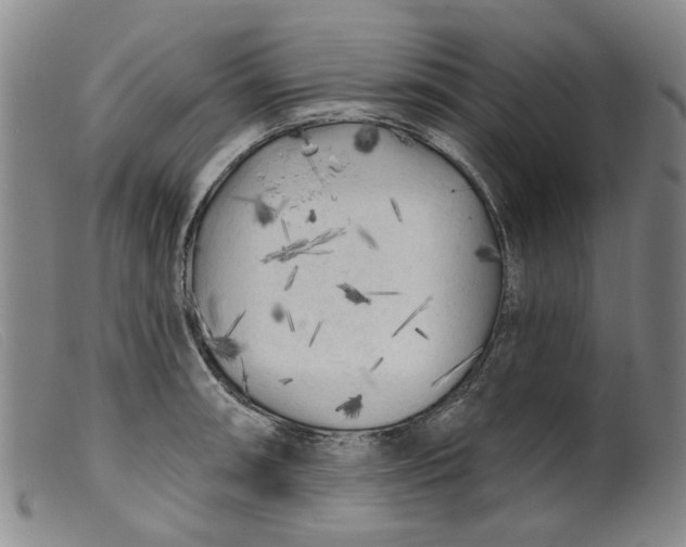 X0000099451090200805231735