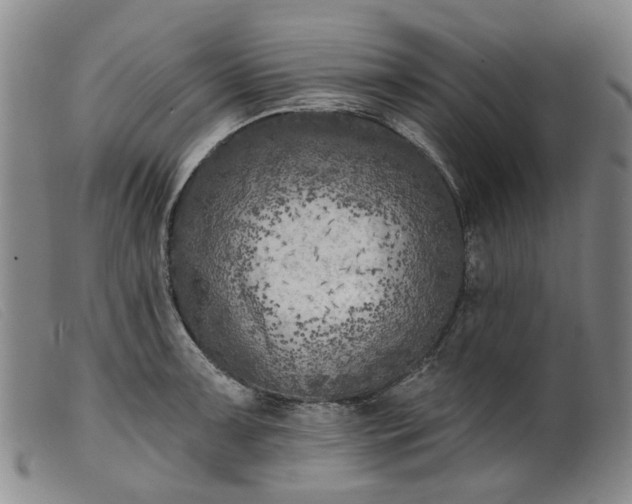 X0000099451091200805231735