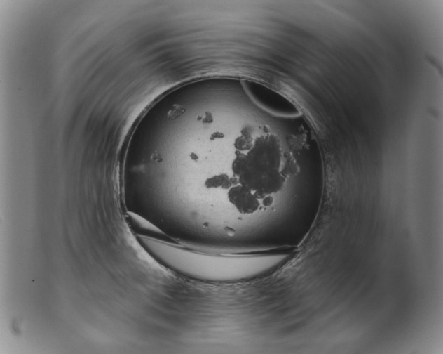 X0000099451092200805231735