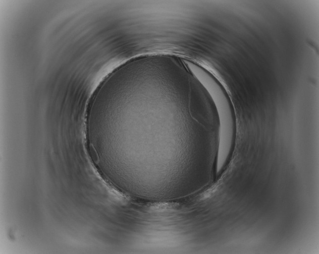 X0000099451093200805231735