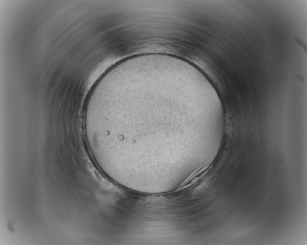 X0000099451094200805231735