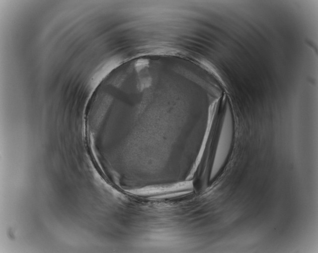 X0000099451095200805231735