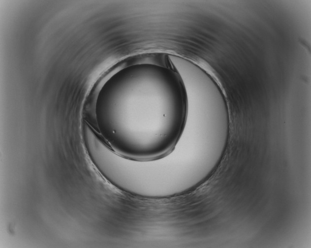 X0000099451096200805231735