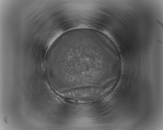 X0000099451097200805231735