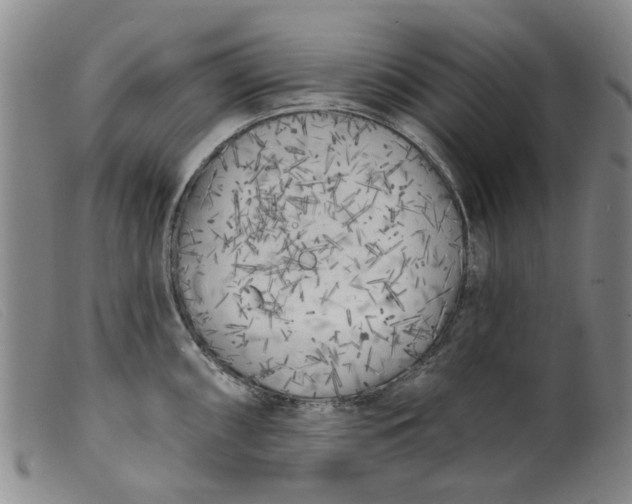 X0000099451098200805231735