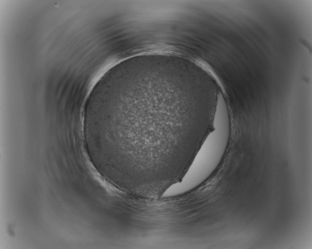 X0000099451099200805231735