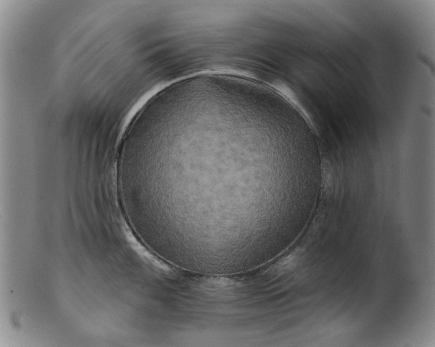 X0000099451100200805231735