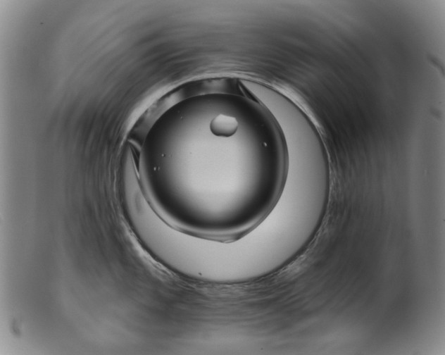 X0000099451101200805231735