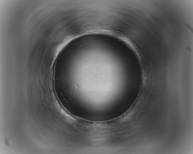 X0000099451102200805231735